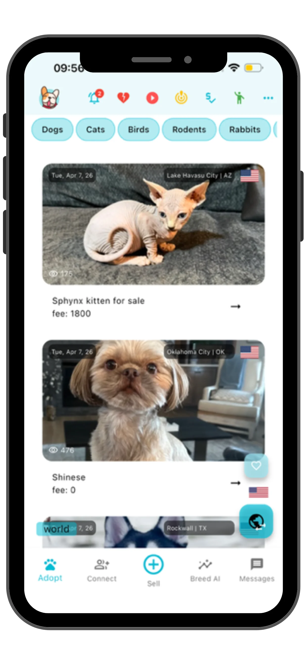 Pets listed for rehoming in Lake Havasu City Arizona, Oklahoma City and Rockwall Texas in the Pets Home app