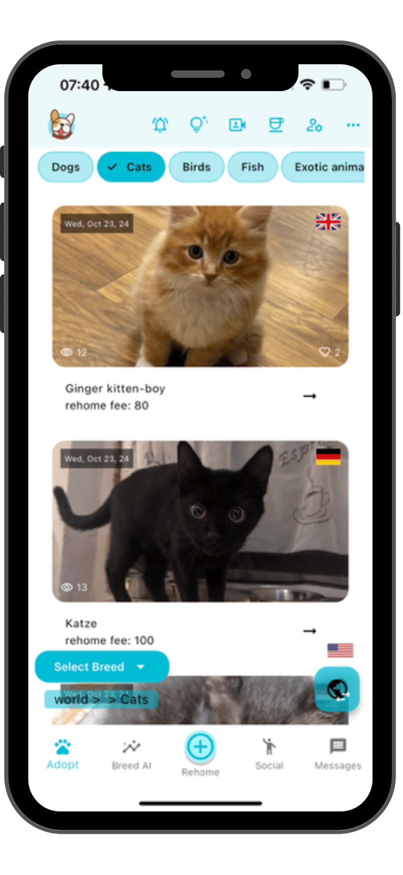 Best app to adopt cats screenshot